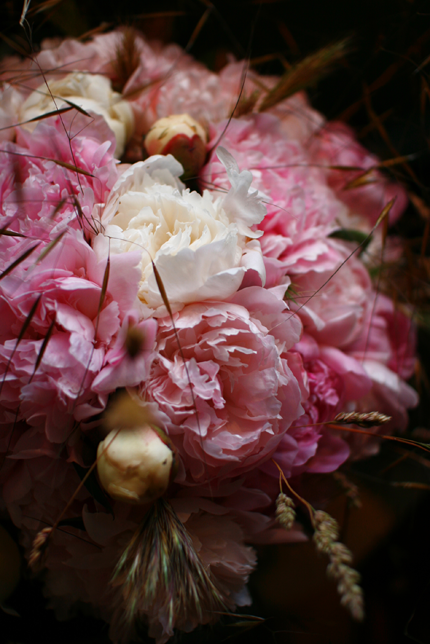 ROSEBUD