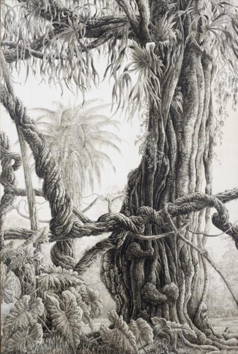 FRANCOIS HOUTIN Exposition Paris