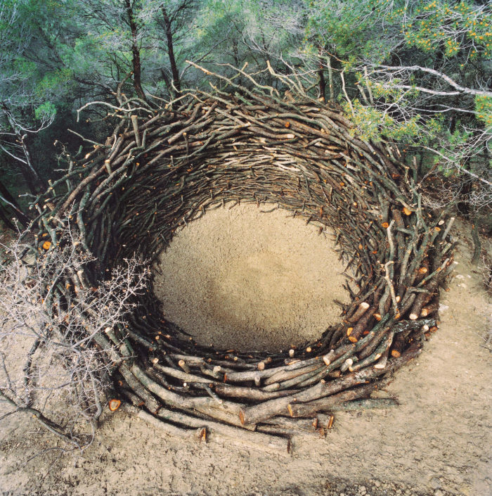 NILS UDO – Black Bamboo – Fondation EDF (3)