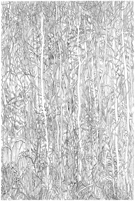 EVA JOSPIN – BEAUX ARTS Dessin-preparatoire-pour-la-Foret-de-soie-2021-encre-sur-papier-36cmX26cm