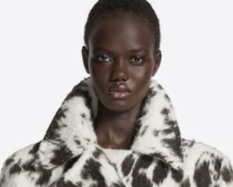 DRIES VAN NOTEN FW 25-26 7